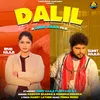 About Dalil Song