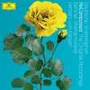 Rimsky-Korsakov: Scheherazade, Op. 35: IV. Allegro molto