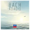 J.S. Bach: Violin Concerto No. 2 in E, BWV 1042 - 2. Adagio