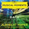 J.S. Bach: Organ Sonata No. 3 in D Minor, BWV 527: III. Vivace (Adapt. for Oboe and Harpsichord by Mayer and Frey)