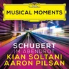 Schubert: Im Abendrot, D. 799 (Transcr. for Cello and Piano) Musical Moments