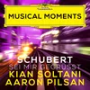 About Schubert: Sei mir gegrüßt, D. 741 (Transcr. for Cello and Piano) Musical Moments Song