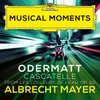 Odermatt: Les couleurs de l'eau, Op. 22 - III. Cascatelle Musical Moments
