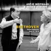 About Beethoven: Violin Sonata No. 8 in G Major, Op. 30, No. 3 - III. Allegro vivace Song