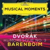 Dvořák: 8 Humoresques, Op. 101, B. 187: No. 3, Poco Andante e molto cantabile Musical Moments