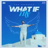 About What If I Fly Song