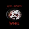 About Signal Song