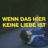 About Wenn das hier keine Liebe ist Song