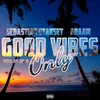 About Good Vibes Only Song
