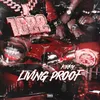 About Living Proof Song