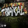 About Tropikal Song