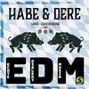 About EDM (Echte Dialekt Musik) Song