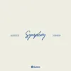 About Symphony Acoustic Version Song