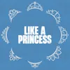 About Like a Princess Song