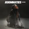 About Roommates Song