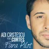 About Fără pilot Song