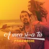 About A mea și-a ta Song