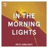 About Into Sunlight Song