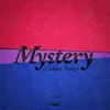 About Mystery (Hidden Things) Song