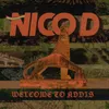 About Welcome to Addis Song