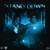 About Stand Down Song