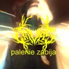 About Palenie Zabija Song