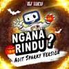 About Ngana Rindu? (Adit Sparky Version) Song