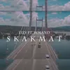 About SKAKMAT Song