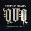 About QOQ (Quality Of Quantity) Song