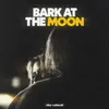 About Bark At The Moon Song