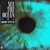 See The Ocean Extended Mix