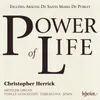 Takle: Festivity: I. Power of Life