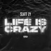 About Life Is Crazy Song