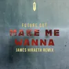 About Make Me Wanna James Hiraeth Remix Song