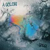 About A Colori Song