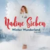 About Winter Wunderland Radio Edit Song