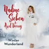 About Winter Wunderland Song