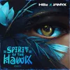 About Spirit Of The Hawk Song