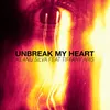 About Unbreak My Heart Song