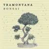 About Bonsai Song