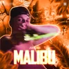 About Malibu Song