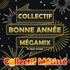 About Collectif Bonne Année Megamix By Crazy Pitcher Song