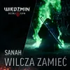 About Wilcza zamieć (Wiedźmin 3: Dziki Gon) Song