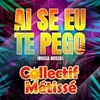 About Ai Se Eu Te Pego Nossa - Nossa Song