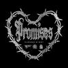 About Promises Song