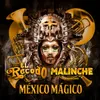About México Mágico Song