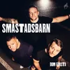 About Småstadsbarn Song