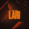 About Lari Song