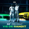 About Vie de Bandit Song