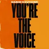 About You're The Voice Song